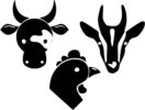Illustration du monde agricole, trois têtes d’animaux : vache, chèvre et volaille